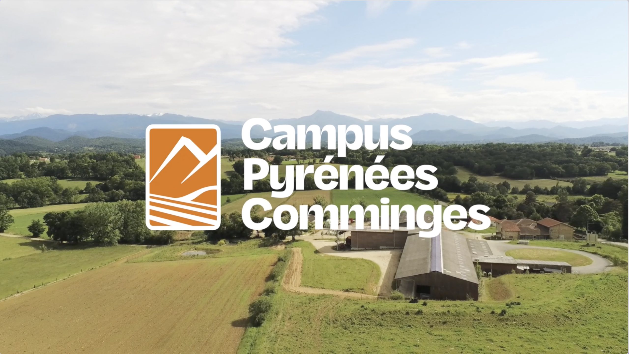 Capture d’écran 2025-03-04 à 00.27.41