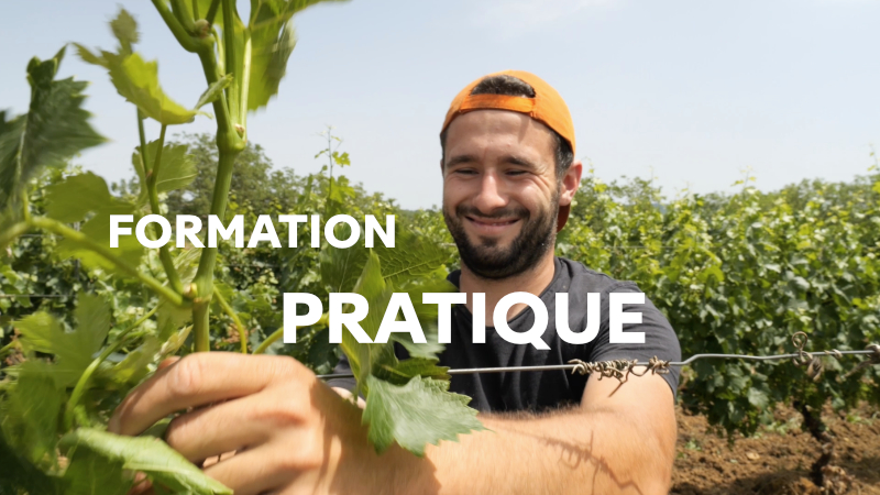 VIGNETTE FORMATION PRATIQUE